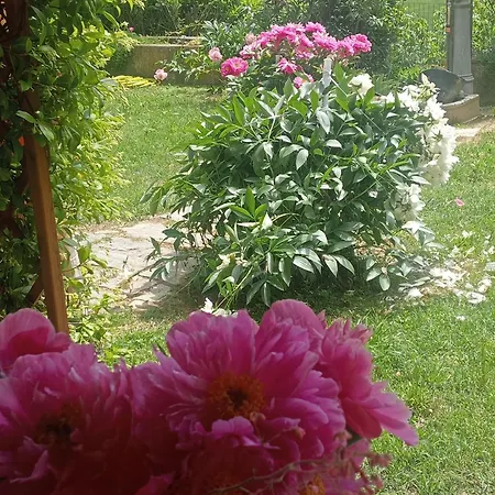 Cascina Ciapilau Bed & Breakfast