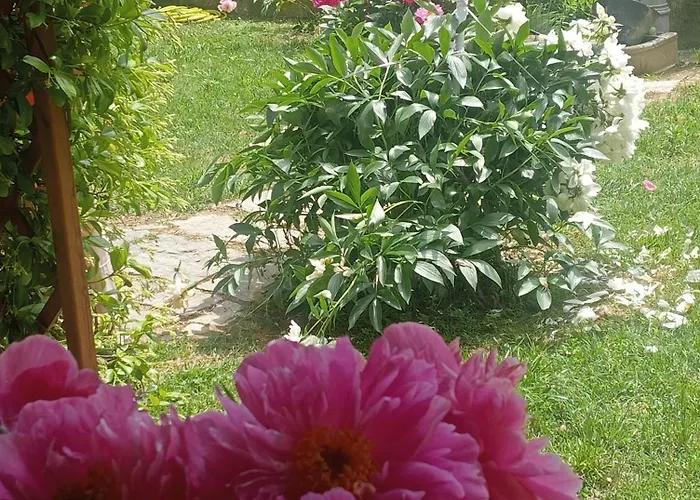 Cascina Ciapilau Nocleg ze śniadaniem